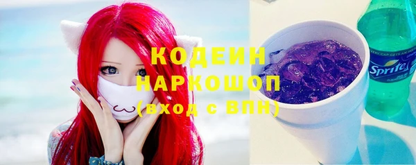 стафф Майский