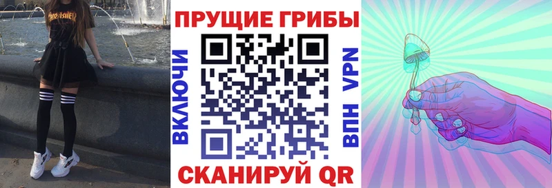 Купить  Майский  Галлюциногенные грибы прущие грибы 